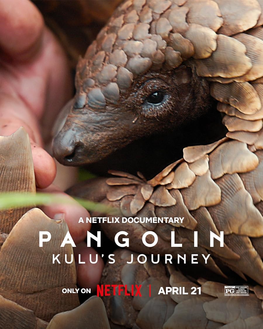 دانلود فیلم Pangolin: Kulu’s Journey 2025 با دوبله اختصاصی